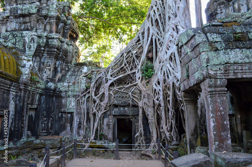 Ankor Wat, a 12th century historic Khmer temple and UNESCO world heritage site. Arches and carved stone with large roots spreading across the stonework. ,Angkor Wat photo