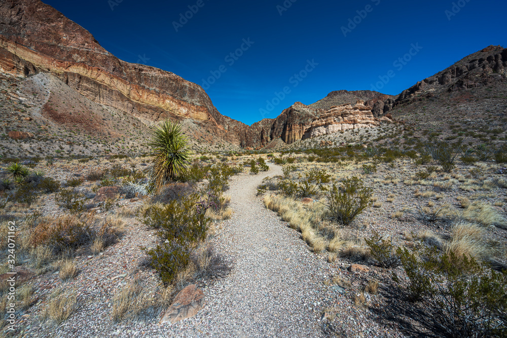Desert Path Desert Path