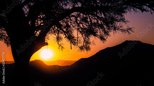 BEAUTIFUL EVENING BETWEEN MOUNTAINS AND TREES