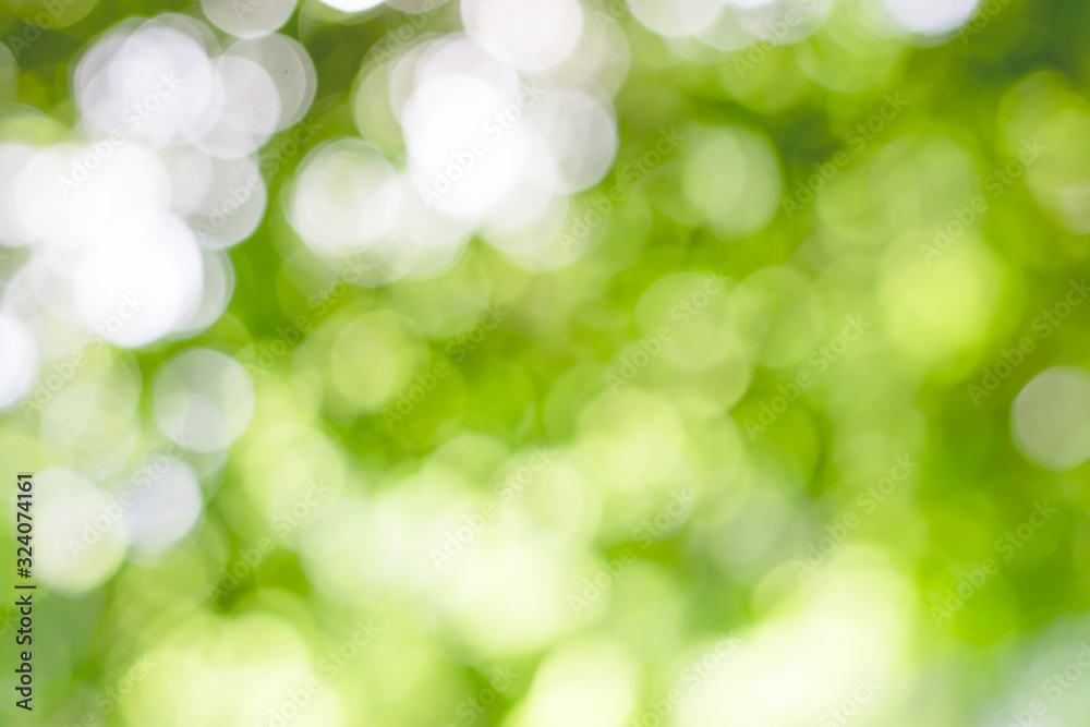 Green bokeh background, Blurred images of nature.