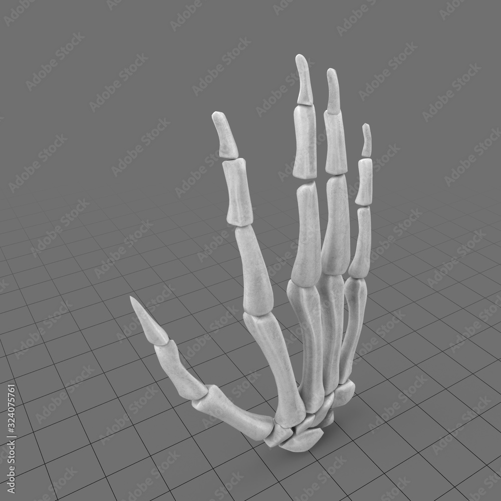 Human hand bones Stock 3D asset | Adobe Stock