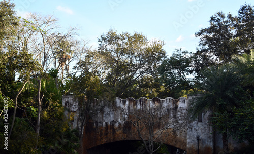 Old Bridge with trees around