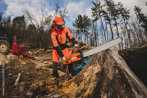 A chainsaw operator is preparing to cut a tree trunk, holding a big orange chainsaw. Protective equipment is used, such as helmet, pants and a vest. Forest and a tractor in the background. photo