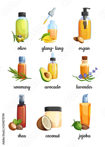 Set of bottles with vegetable and flower, nut vitamin oils. 