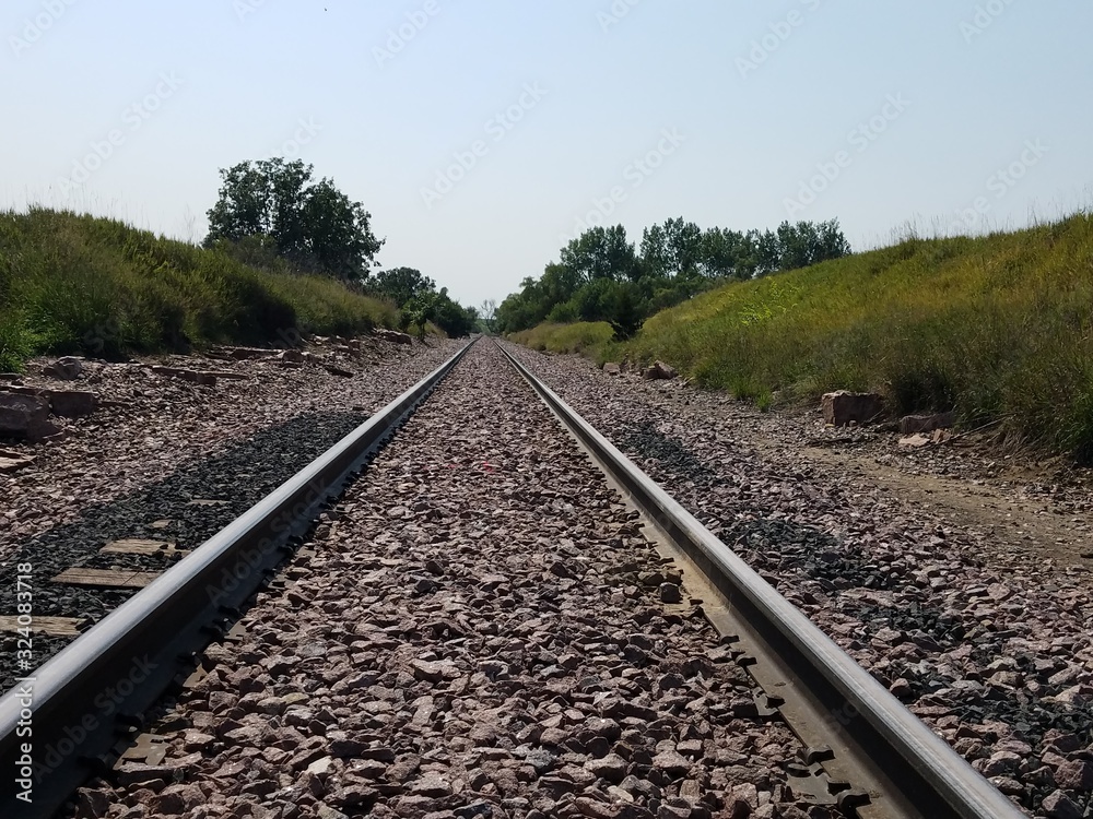 Fototapeta premium railway in forest