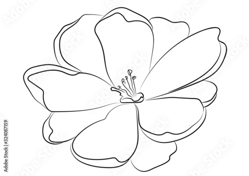 Hand drawn floral vector illustration. Abstract line art flower on white background. Perfect for pattern, logo, scrapbooking, textile design, fabric, wallpaper, wrapping paper.