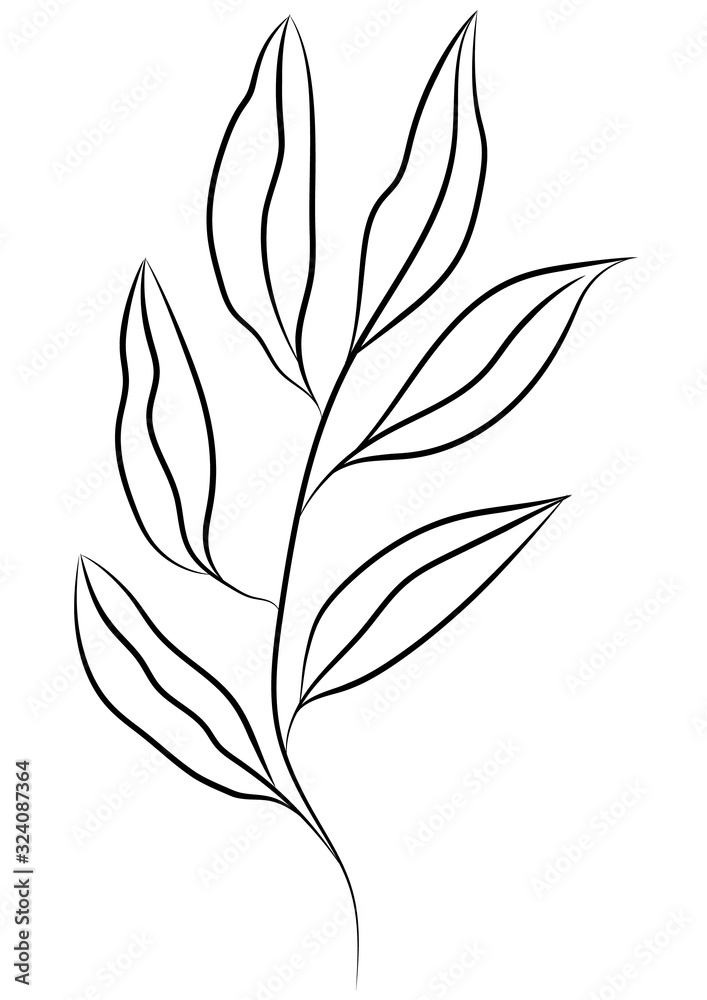 Hand drawn floral vector illustration. Branch on white background. Perfect for pattern, logo, scrapbooking, textile design, fabric, wallpaper, wrapping paper. Hand drawn floral vector illustration. Branch on white background. Perfect for pattern, logo, scrapbooking, textile design, fabric, wallpaper, wrapping paper.