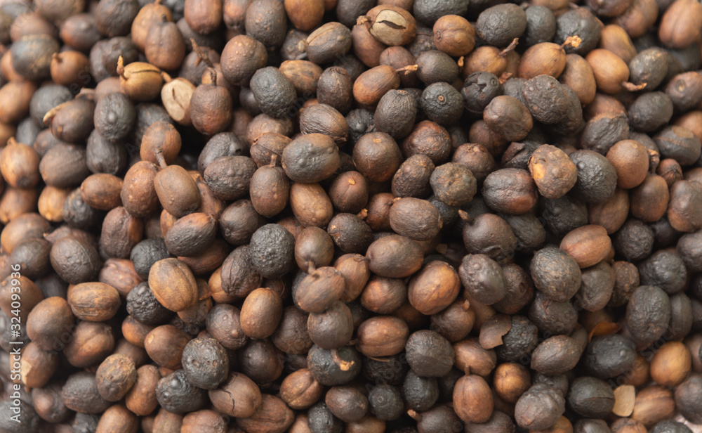 Roasted coffee beans ready for home grinding-3.jpg. Roasted coffee beans ready for home grinding-3.jpg.