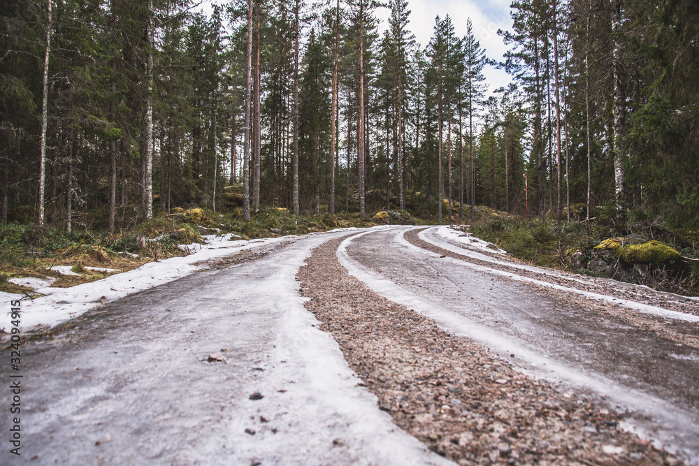 ice in the forest of Norway