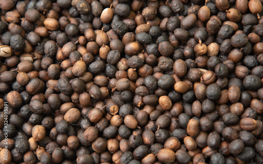 Roasted coffee beans ready for home grinding-3.jpg. Roasted coffee beans ready for home grinding-3.jpg.