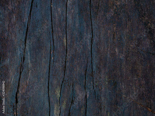 Vintage dark board for rustic background design. photo