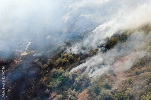 Forest fire, smoke of surrounding area. smoke and fire. photo