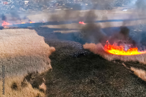 Steppe fire. Burning dry grass, fire smoke photo