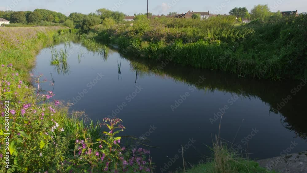 Wide shot of a canal in the countryside flanked by grasses, bushes, and wildflowers Wide shot of a canal in the countryside flanked by grasses, bushes, and wildflowers