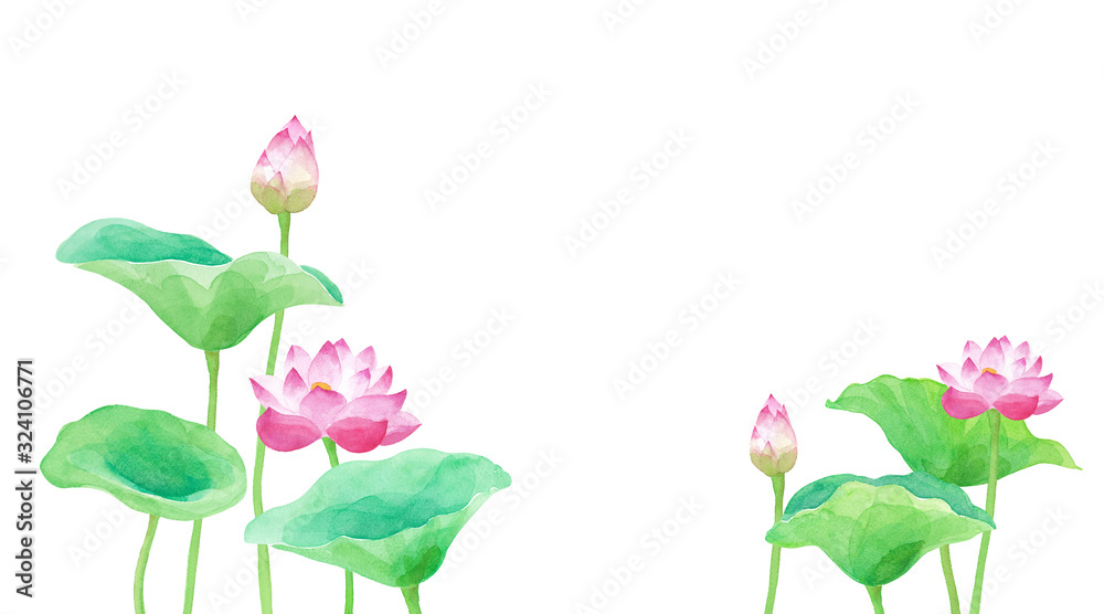 蓮の花のアシンメトリー構成 水彩イラストのトレースベクター Stock Vector Adobe Stock 蓮の花のアシンメトリー構成 水彩イラストのトレースベクター Stock Vector Adobe Stock