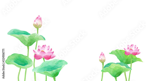 蓮の花のアシンメトリー構成　水彩イラストのトレースベクター