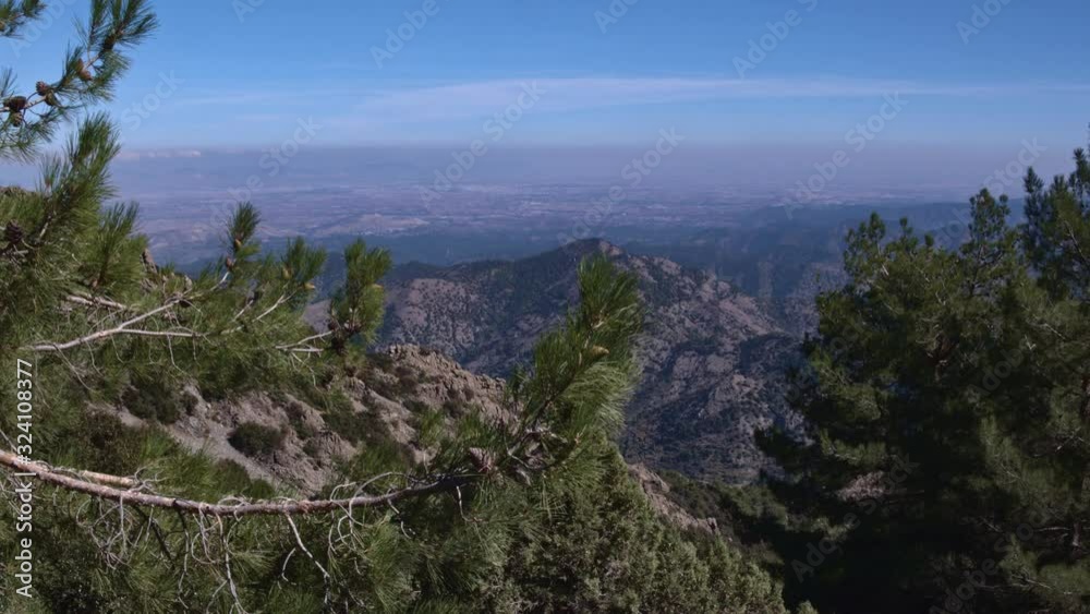 camera tracks through pine trees to reveal mountain range backdrop camera tracks through pine trees to reveal mountain range backdrop