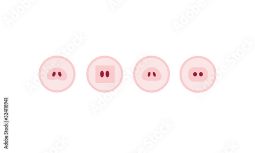 set of pig nose icons