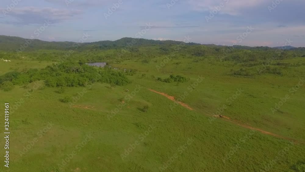 Drone view of a far away rider galloping a horse in a venezuelan plain, slow motion