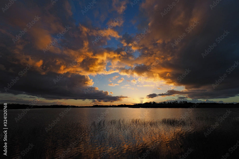 Colorful sunrise over Nine Mile Pond in Everglades National Park, Florida reflected in tranquil water of pond with stand of reeds in foreground.