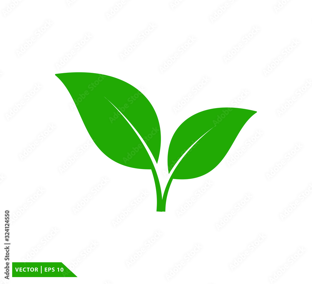 Fototapeta Leaf green ecology icon vector logo template