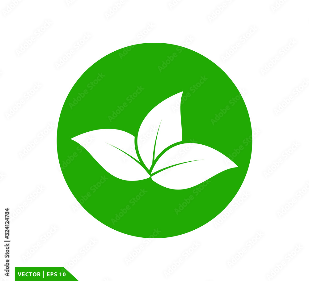 Green leaf icon vector logo design template Green leaf icon vector logo design template