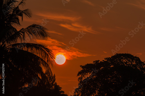 colorful sky cloudscape during the sunrise with tree silhouette