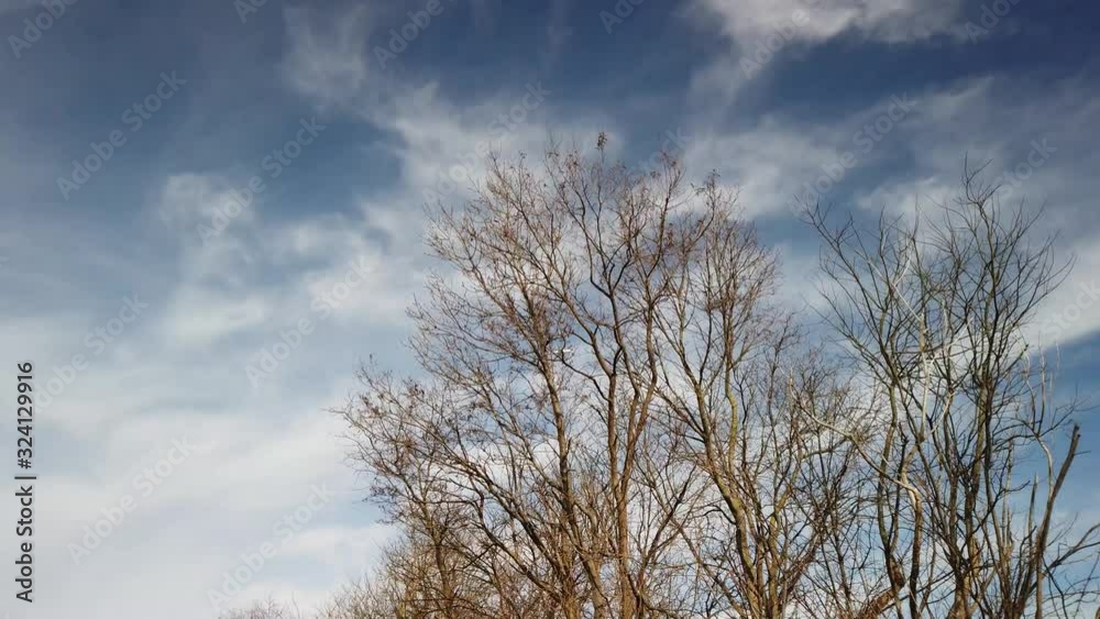 Aircraft high above passing by thru the clouds on a sunny winters day behind a focused tree in front Aircraft high above passing by thru the clouds on a sunny winters day behind a focused tree in front