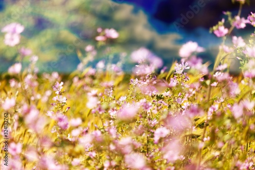 Spring. © BillionPhotos.com