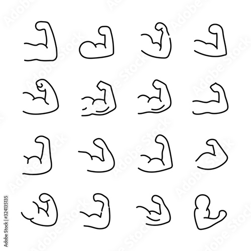 Premium set of muscle line icons.