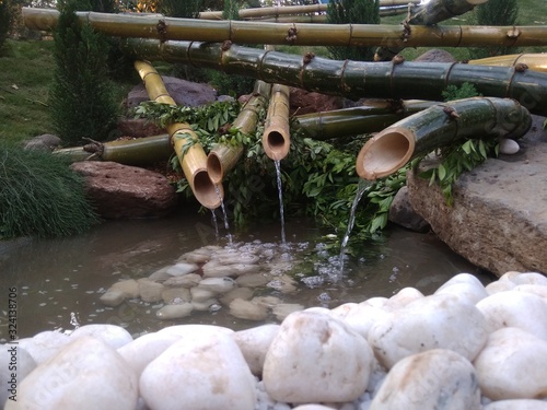 Beautiful small pond pic