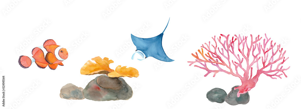 海のいきもの色々 マンタ カクレクマノミ サンゴ 水彩イラスト Stock イラスト Adobe Stock