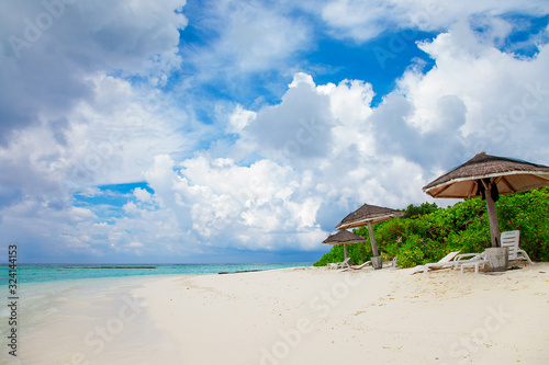 Maldive Sand Beach and green palm foliage view