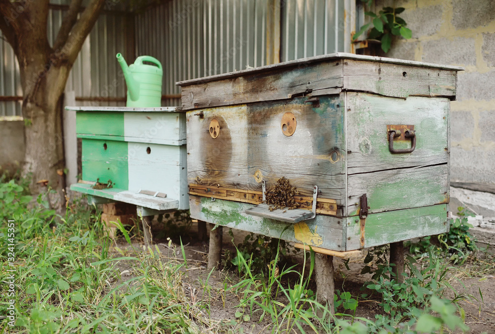 bees on a background of wooden hives close-up bees on a background of wooden hives close-up