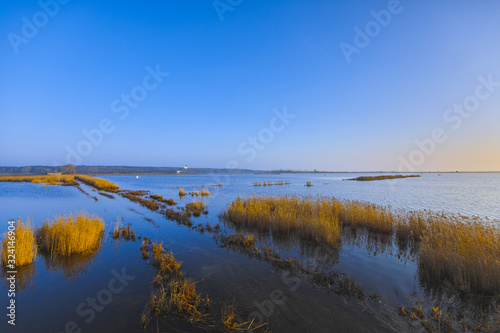 Early in the morning on the Peene river near the Baltic Sea.