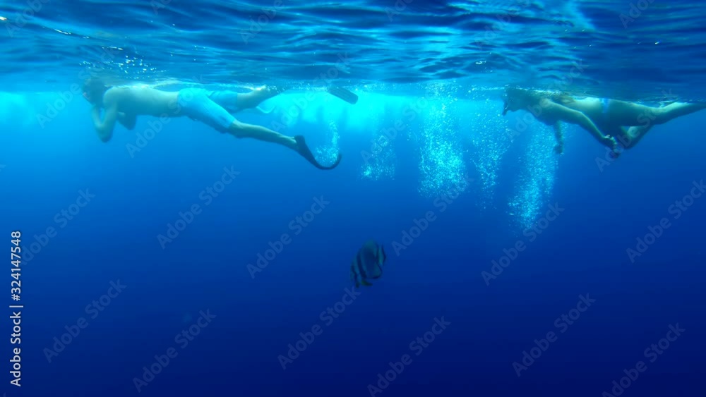 Underwater view of the young couple swimming in the sea Underwater view of the young couple swimming in the sea