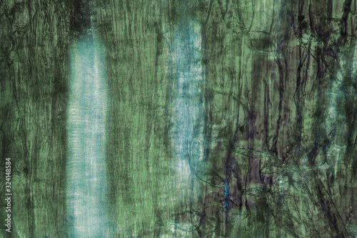 Papier peint Abstract micrograph of parts of a lily flower.