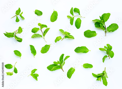 Fresh  mint leaves  on white