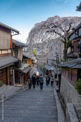 京都 三年坂の桜と春景色