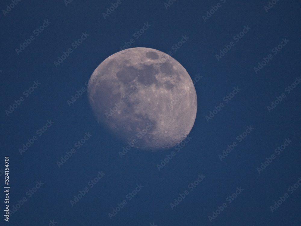 moon moon