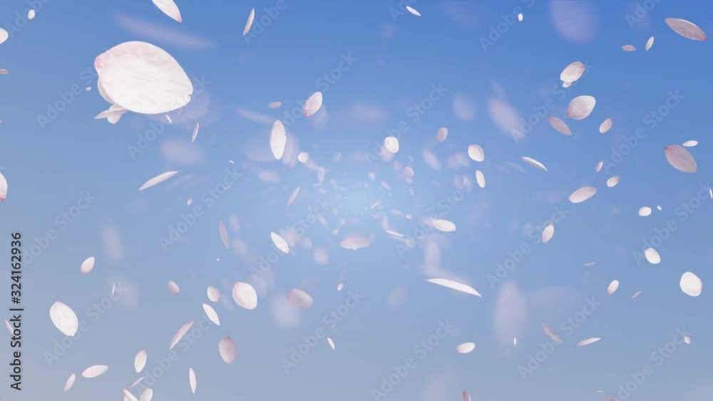 Cherry petals CG Cherry petals CG