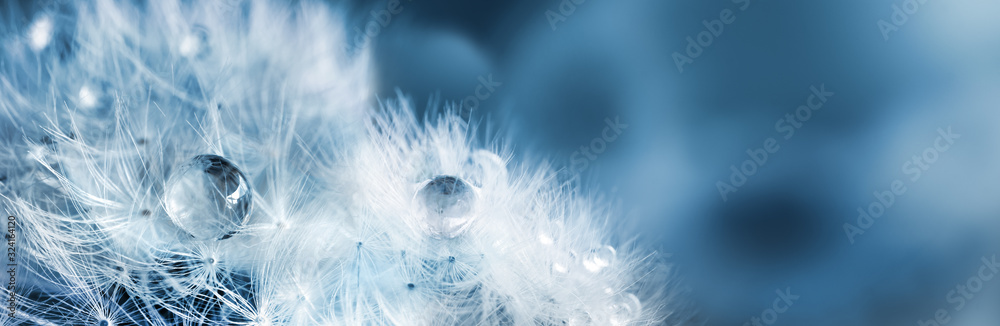Fluffy dandelions with dew drops, natural blue blurred spring background, close-up. Copy space. Soft focus abstract background.