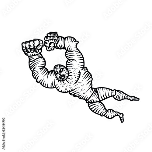 Cartoon wrestling. Sport vector illustration