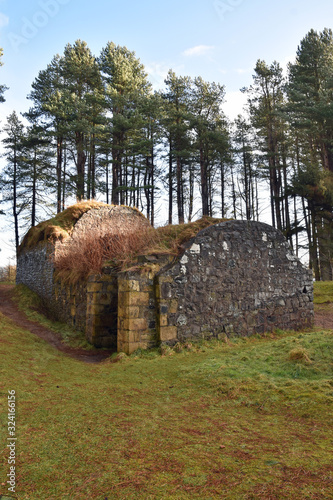 19th century ice house in Tentsmuir Forest, Fife, Scotland. Was used to preserve winter ice year round. Now colonised by bats. Grass, tall trees, blue sky and clouds. photo