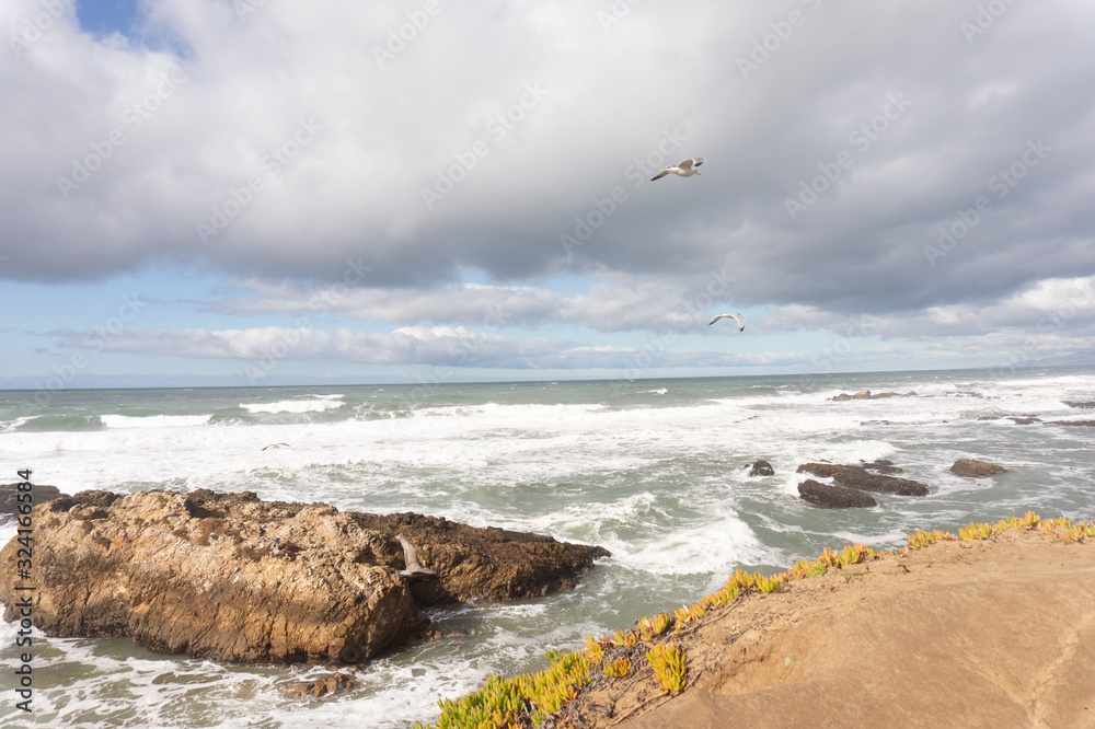 ocean beach