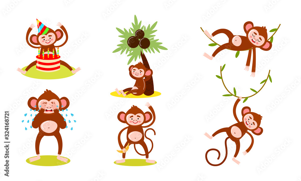 Set of monkey characters doing everyday things vector illustration