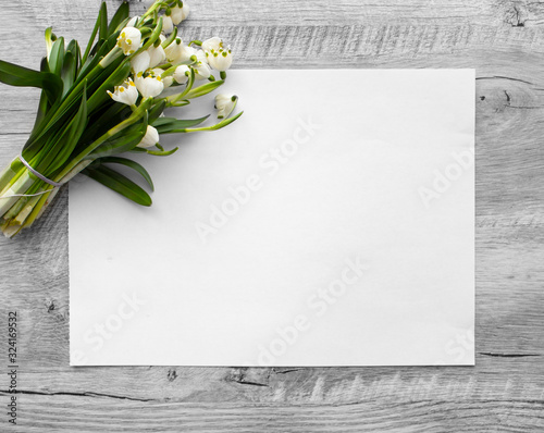 Bouquet of Galanthus on the white paper
