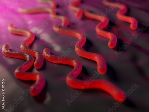 3d illustration - Borrelia Burgdorferi Bacteria photo