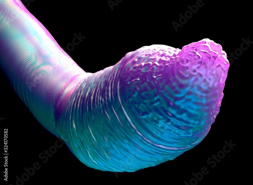 3d illustration - C.Elegans Worm