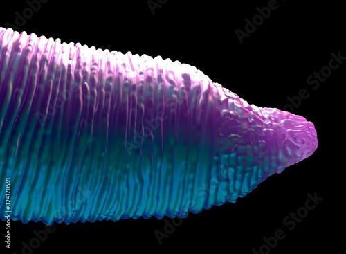 3d illustration - C.Elegans Worm